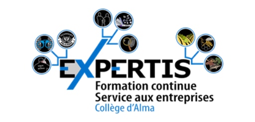 Logo EXPERTIS Service aux entreprises